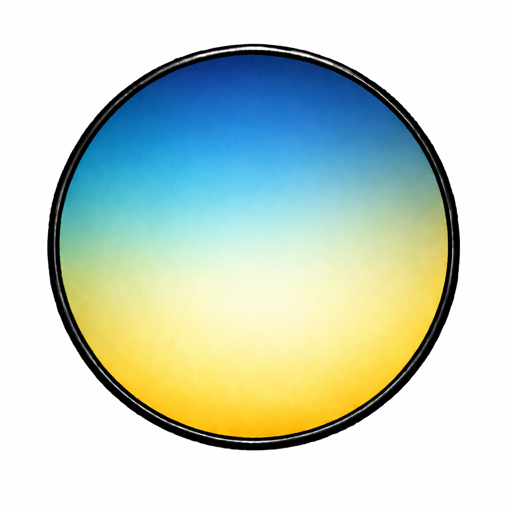 BLACK – BLUE/YELLOW